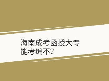 海南成考函授大专能考编不？