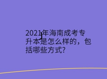 2021年海南成考专升本是怎么样的，包括哪些方式