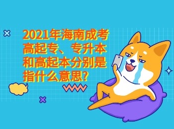 2021年海南成考高起专专升本和高起本分别是指什么意思