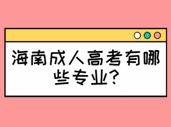 海南成人高考有哪些专业?