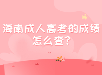 海南成人高考的成绩怎么查?