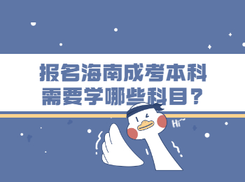 报名海南成考本科需要学哪些科目?