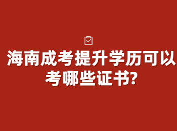 海南成考提升学历可以考哪些证书?