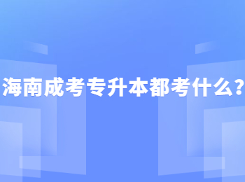 海南成考专升本都考什么？