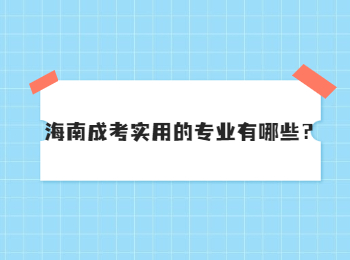 海南成考实用的专业有哪些？