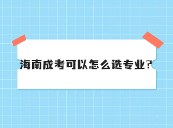 海南成考可以怎么选专业？