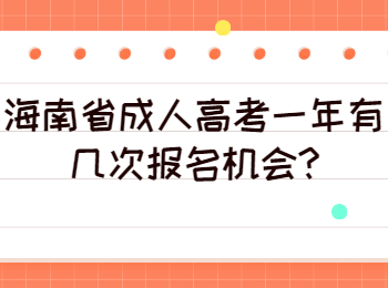 海南省成人高考一年有几次报名机会