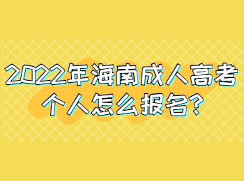 海南成人高考个人怎么报名