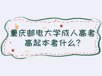 重庆邮电大学成人高考高起本考什么