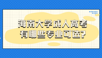 海南大学成人高考