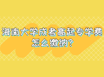 海南大学成考高起专学费怎么缴纳