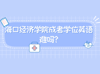 海口经济学院成考学位英语难吗
