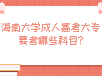 海南大学成人高考大专要考哪些科目