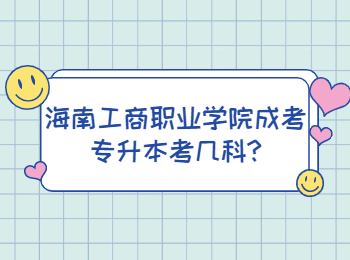 海南工商职业学院成考专升本考几科