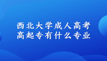 西北大学成人高考高起专有什么专业