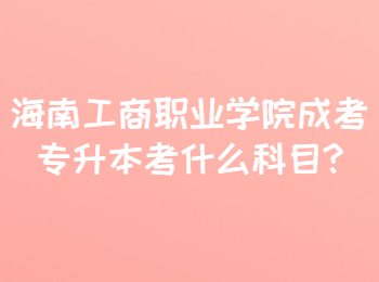 海南工商职业学院成考专升本考什么科目