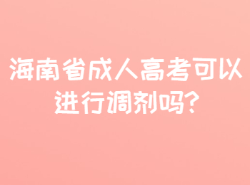 海南省成人高考可以进行调剂吗