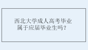 西北大学成人高考毕业属于应届毕业生吗？