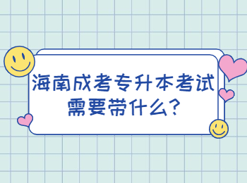 海南成考专升本考试需要带什么