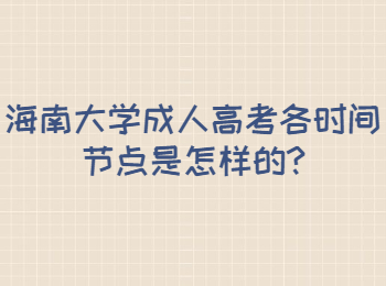 海南大学成人高考各时间节点是怎样的