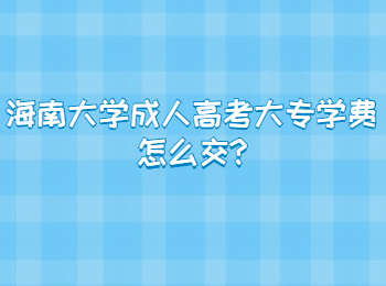 海南大学成人高考大专学费怎么交