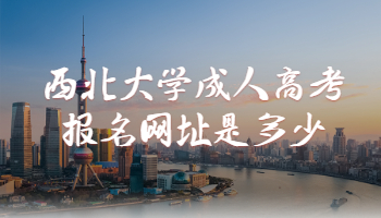 西北大学成人高考报名网址是多少
