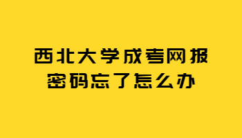 西北大学成考网报密码忘了怎么办?