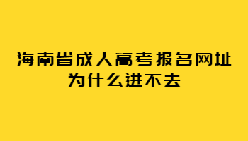 海南省成人高考报名网址为什么进不去